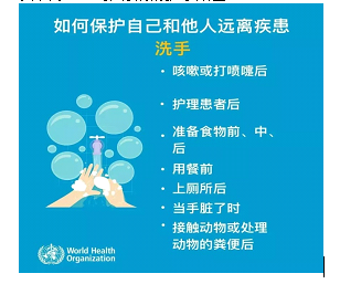 2024新澳门原料网点站
